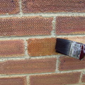 BILD4981.JPG